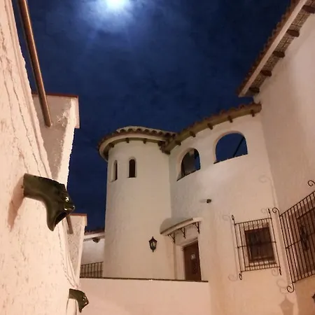 Gaviota Y Vora Mar