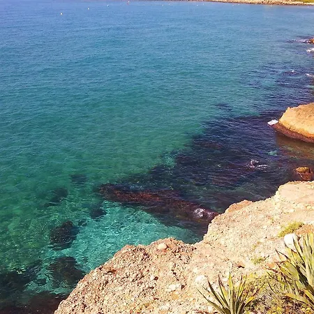 Gaviota Y Vora Mar