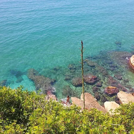 Gaviota Y Vora Mar Sitges