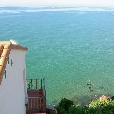 Gaviota Y Vora Mar